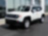 ZACNJBBBXLPL21455-2020-jeep-renegade
