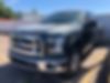1FTEW1CP6FKE42328-2015-ford-f-150
