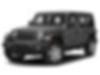 1C4HJXDGXLW250704-2020-jeep-wrangler-unlimited