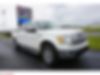1FTFW1CV8AFD27153-2010-ford-f-150