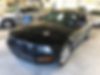 1ZVHT80N885160658-2008-ford-mustang-0