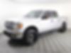 1FTFW1CT7DKG41645-2013-ford-f-150-2