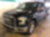 1FTEW1EP7GFC97999-2016-ford-f-150-0