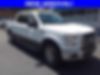 1FTEW1EF0GFA58785-2016-ford-f-150