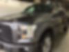 1FTEW1EP1HFB33665-2017-ford-f-150-0