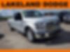 1FTEW1CG1GFB21839-2016-ford-f-150-0