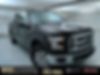 1FTEW1EP2GFD49510-2016-ford-f-150-0