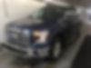 1FTEW1EP8HFA52954-2017-ford-f-150-0