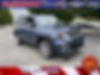 ZACNJBD10LPL64254-2020-jeep-renegade-0