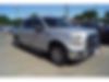 1FTEW1CPXGKF44314-2016-ford-f-150-0