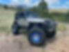 1J4FA49S01P324121-2001-jeep-wrangler-0