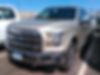 1FTEW1EP3HKD25239-2017-ford-f-150-0