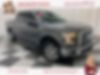 1FTEW1CP8GFD32035-2016-ford-f-150-0