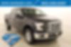 1FTEW1E84GFC94552-2016-ford-f-150