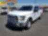 1FTEW1EF1HKC45381-2017-ford-f-150