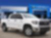 5TFDW5F16KX828416-2019-toyota-tundra-4wd-truck-0