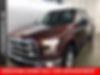 1FTFW1EF9FKD22466-2015-ford-f-150-1