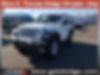 1C4GJXAG2LW302469-2020-jeep-wrangler-2