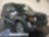 ZACNJBC15LPL61657-2020-jeep-renegade
