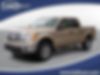 1FTFW1ET3DFB64055-2013-ford-f-150-0