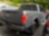 1FTEW1EP2HFB03221-2017-ford-f-150-1
