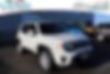 ZACNJABB7LPL30205-2020-jeep-renegade