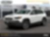 1C4PJMBX3LD621551-2020-jeep-cherokee-0