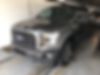 1FTEW1EP4HFB40738-2017-ford-f-150