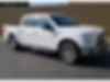 1FTEW1EPXHFC86996-2017-ford-f-150-0