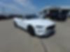 1FATP8UH1K5170189-2019-ford-mustang-1