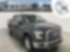 1FTEW1EFXHFA00300-2017-ford-f-150-0