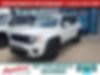 ZACNJAB18KPK16655-2019-jeep-renegade