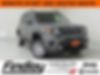 ZACNJBBB9LPL02041-2020-jeep-renegade