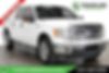 1FTFW1CT7DFC85187-2013-ford-f-150