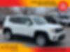 ZACNJBBB9LPL01360-2020-jeep-renegade-0