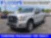 1FTEW1EF4GFC33281-2016-ford-f150-0