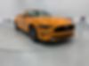 1FATP8UHXK5150491-2019-ford-mustang-0