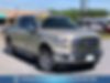 1FTEW1EP1HFA06348-2017-ford-f-150-0