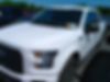 1FTEW1EP6HFB85101-2017-ford-f-150-0