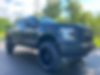 1FTEW1E82GFB29423-2016-ford-f-150-0