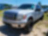 1FTEW1C83AFB69536-2010-ford-f-150