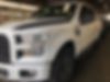 1FTEW1EP7HFB10309-2017-ford-f-150-0