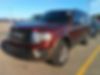 1FMJU1HT8FEF11119-2015-ford-expedition