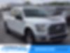 1FTEW1EP1GFD30253-2016-ford-f-150-0