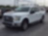 1FTEW1EP1GFD30253-2016-ford-f-150-2