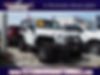 1C4BJWCGXHL638607-2017-jeep-wrangler-0