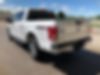 1FTEW1EP7HFA22943-2017-ford-f-150-1