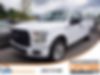 1FTEX1CP2GKF15516-2016-ford-f-150-0