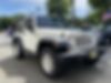 1J4AA2D18AL162162-2010-jeep-wrangler-2