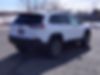 1C4PJMBX7LD597206-2020-jeep-cherokee-1